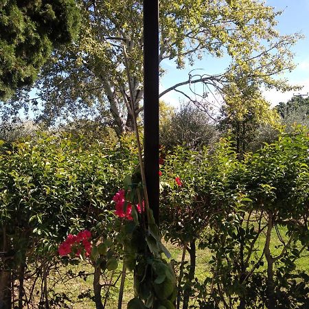 Apartament Kalypso Relaxing Shelter Arkítsa Zewnętrze zdjęcie
