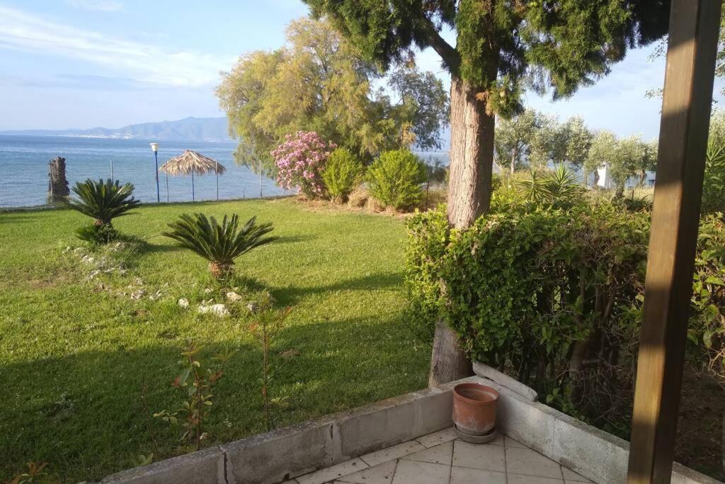 Apartament Kalypso Relaxing Shelter Arkítsa Zewnętrze zdjęcie