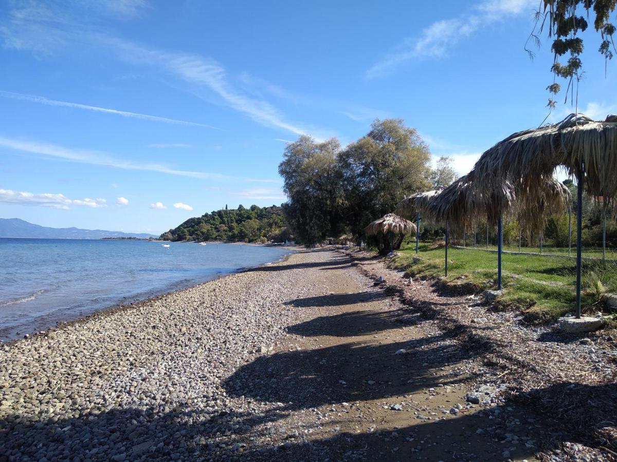 Apartament Kalypso Relaxing Shelter Arkítsa Zewnętrze zdjęcie